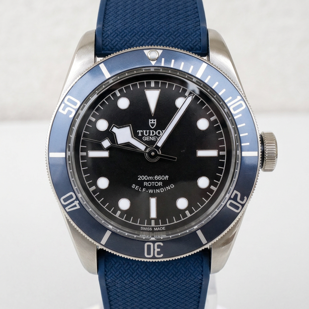 Rubber B Kauçuk Kayış | Tudor Heritage Black Bay Ceramic 41 mm ile Uyumlu