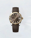 Datejust 31 (2020 öncesi) ile Uyumlu Kayış