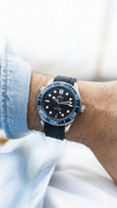 Omega Seamaster 300 ile Uyumlu